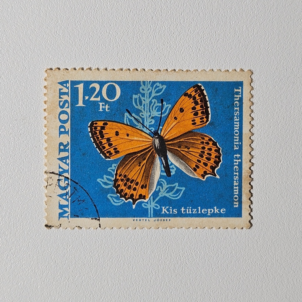 Perangko Serangga Kupu Kupu Hungaria: Small Copper Thersamonia Thersamon (Perangko Vintage Klasik 19