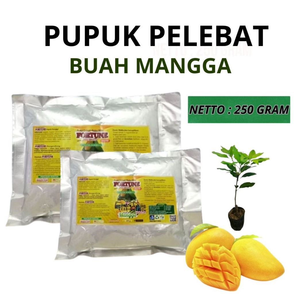 Pupuk Pelebat Buah Mangga, Pupuk Mangga Biar Cepat Berbuah, BOOSTER Mangga ORGANIK