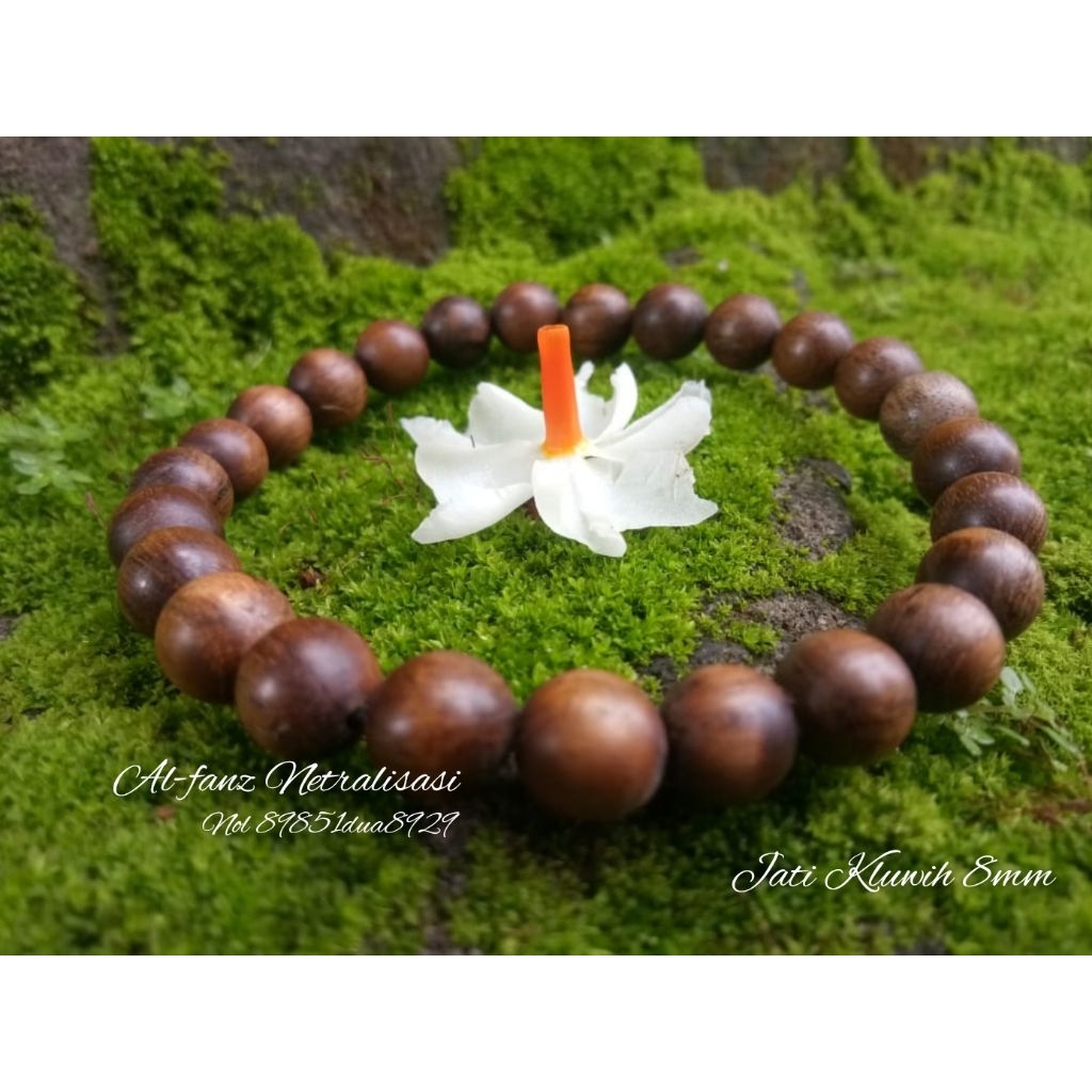 gelang galih jati kluwih bit 8mm riwayat sunan Kalijaga sunan Geseng