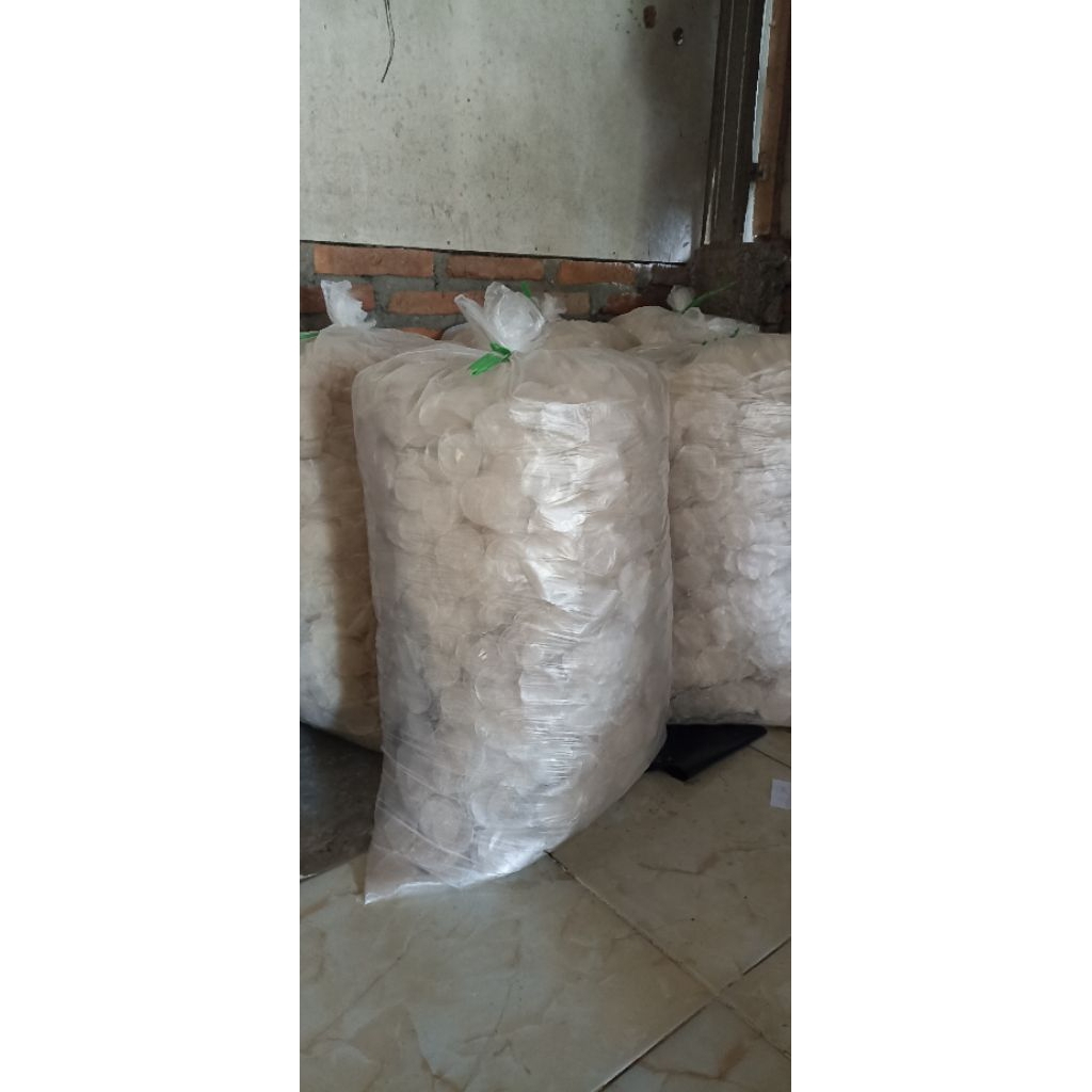 Keripik Kaca/Pikca Koin Mentah 5kg.
