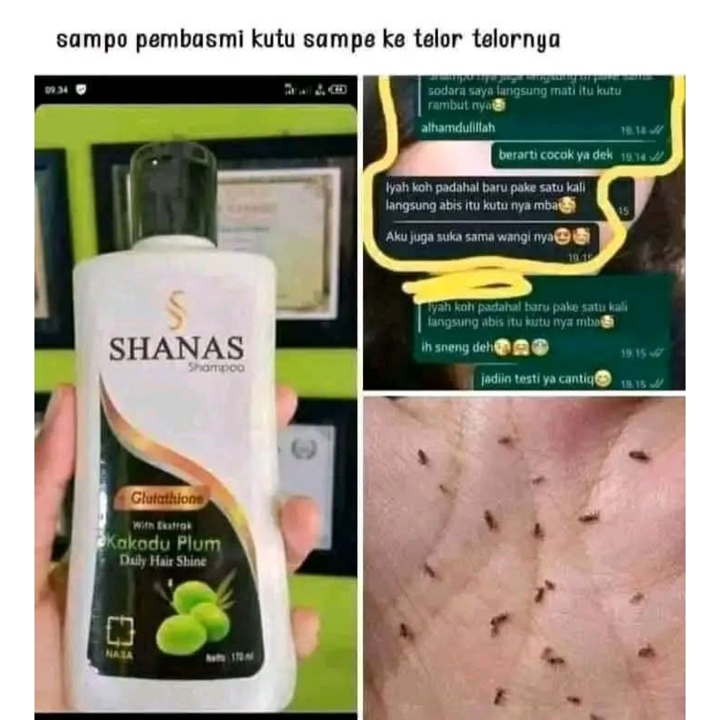 SHANAS NASA, SHAMPO SHANAS,SHAMPO ANTI KUTU