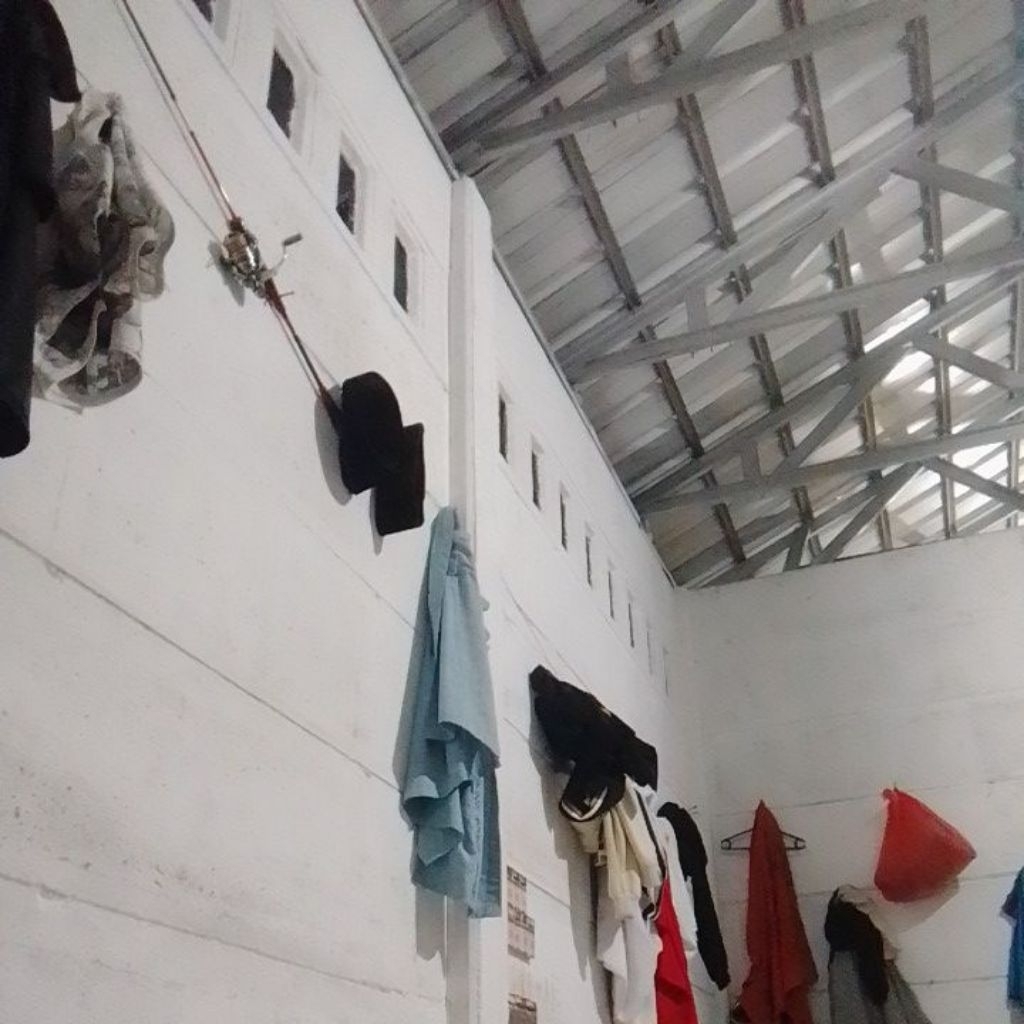 Joran Pancing Ultralight Ajiro Sakura DPS - Lentur, Kuat, dan Ringan