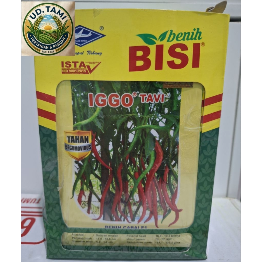 1 Kotak / 12 Bungkus Benih Cabe Keriting Iggo Tavi isi 10 gram
