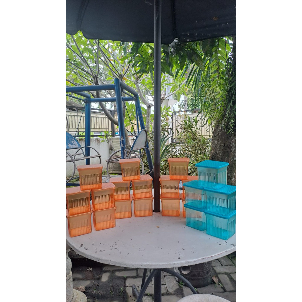 family mate Tupperware