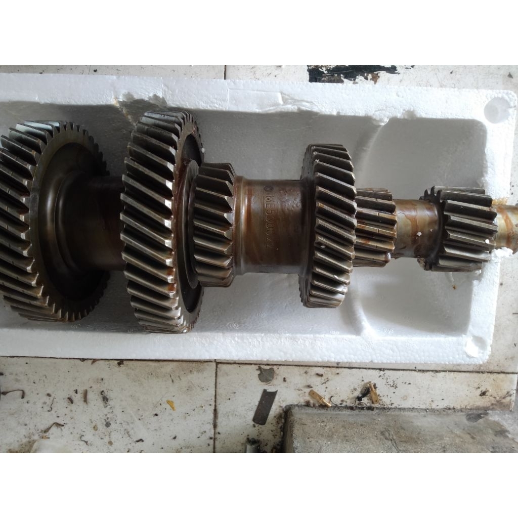 GIGI SUSUN CANTER OKAYAMA