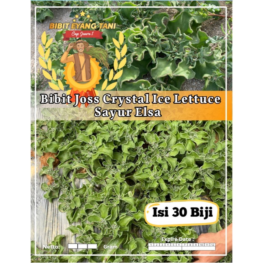 Bibit Joss Crystal Ice Lettuce Sayur Elsa | Biji Benih Crystal Ice Lettuce Sayur Elsa | Crystal Ice 