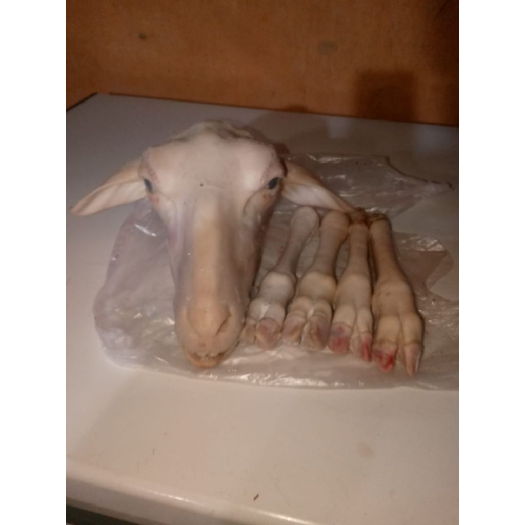 KEPALA DAN KAKI DOMBA / KAMBING