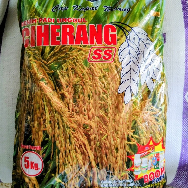 Benih Padi Unggul Ciherang Cap Kapal Terbang 5 kg (SS/Bisi) - beras berkualitas premium (pulen, enak