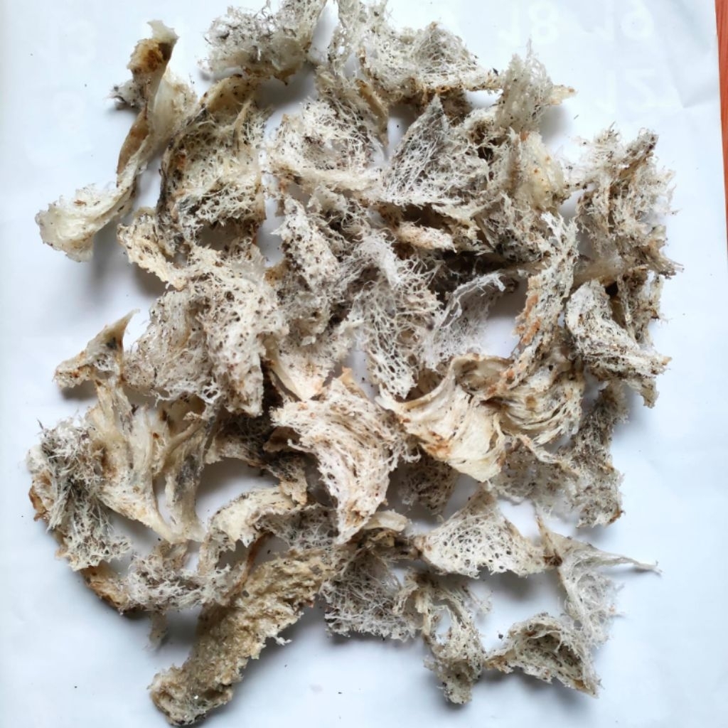 BUBUK SARANG WALET, sarang walet kotor, per gram, bird nest