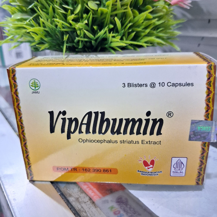 Vipalbumin Kapsul 10 Kapsul - Ekstrak Ikan Gabus untuk Membantu Meningkatkan Daya Tahan Tubuh