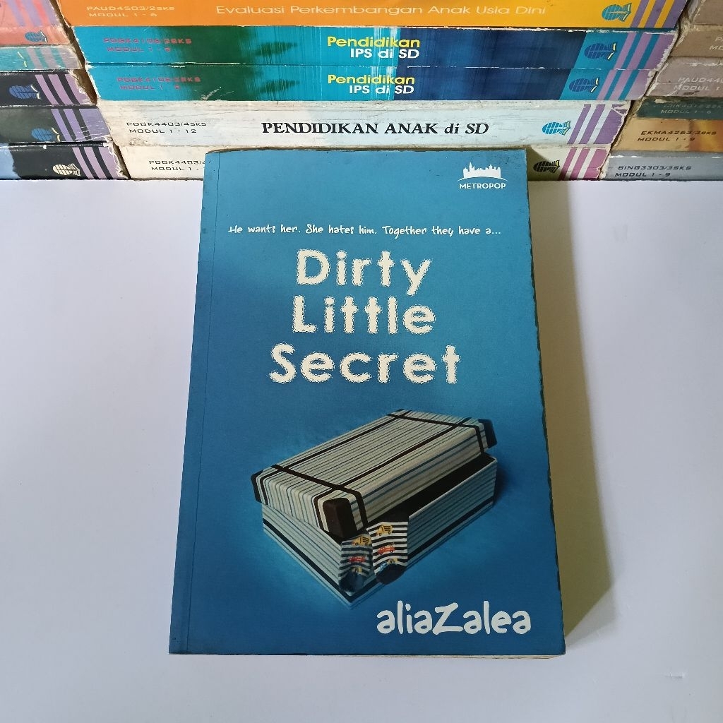 NOVEL DIRTY LITTLE SECRET Aliazalea