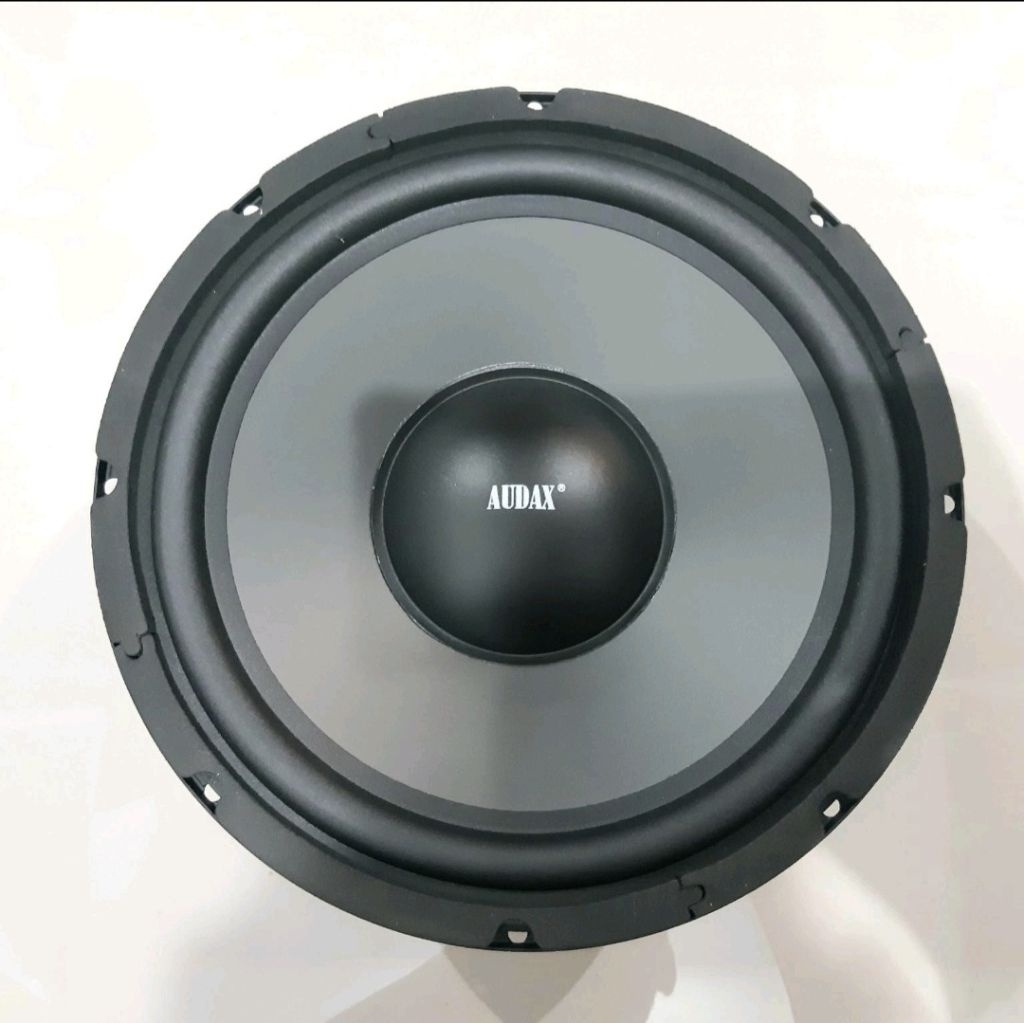 SPEAKER 10 INCH WOOFER AUDAX 350WATT 8OHM 10IN 10" 10 IN 10INCH AUDAX ORIGINAL
