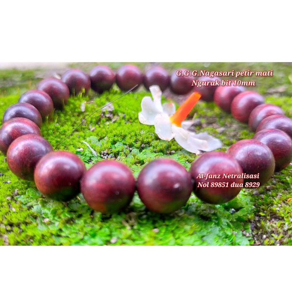 gelang galih gandul nagasari petir mati Ngurak bit 10mm asli bersertifikat