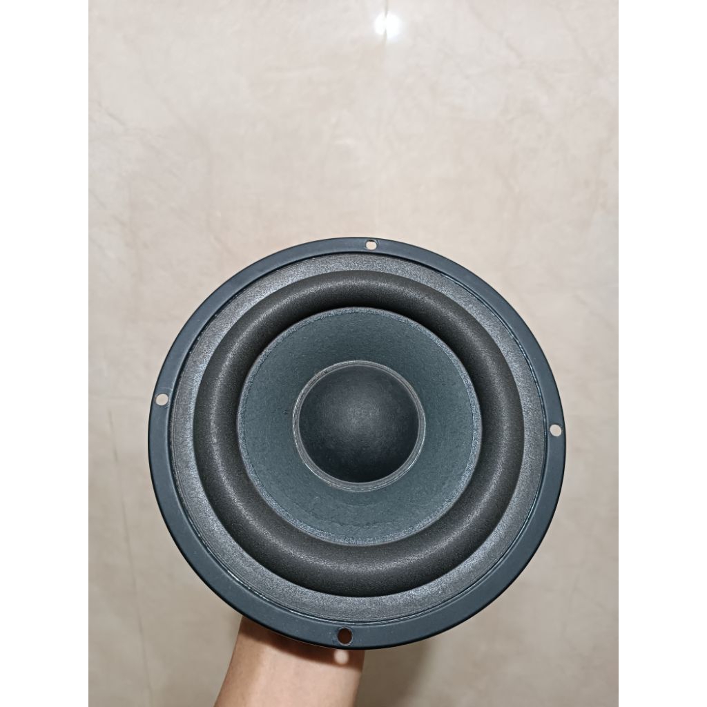 Subwoofer Polytron 6,5 Inch untuk PMA 9502, Sub Soundbar Pasif/Aktif, dsb yang Seukuran