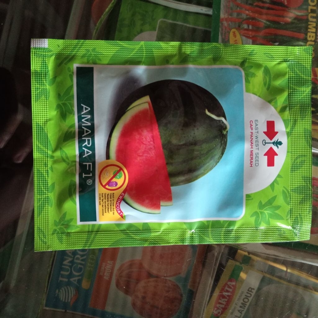 benih semangka non biji Amara