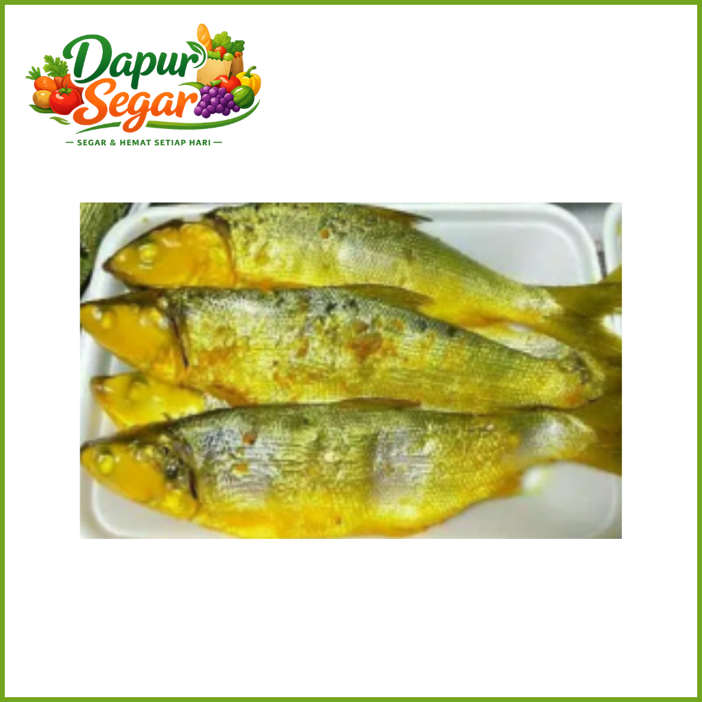 Ikan Bandeng Presto Sayur Instan Express Segar Bekasi