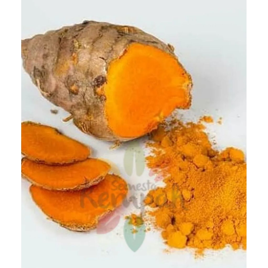 500gram Bubuk Biang / Induk Kunyit