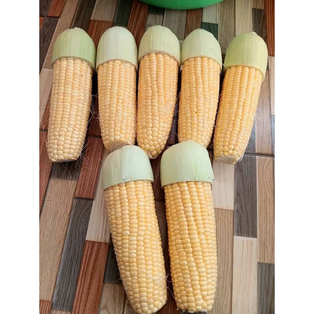 jagung manis 1kg