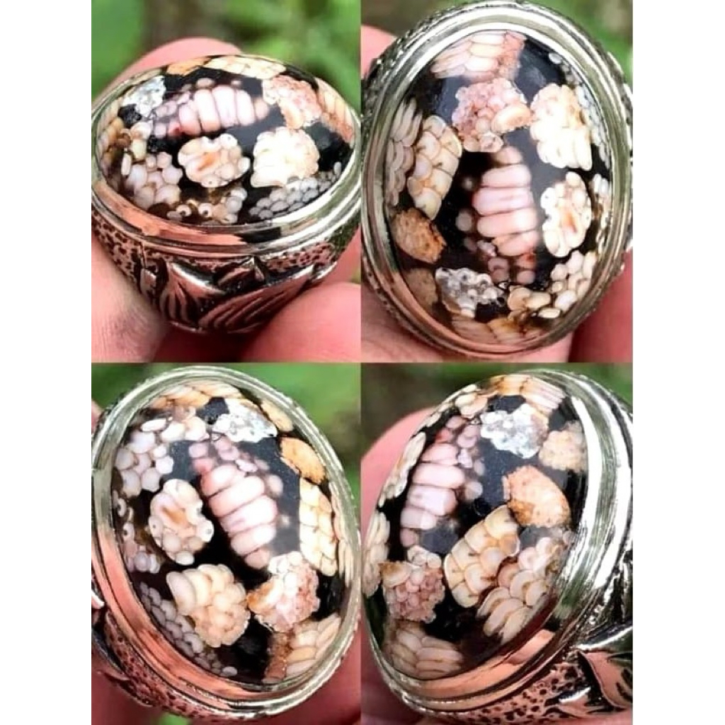 JHIPEN SNAKE SKIN SISIK ULAR PITON AJIB ANTIK