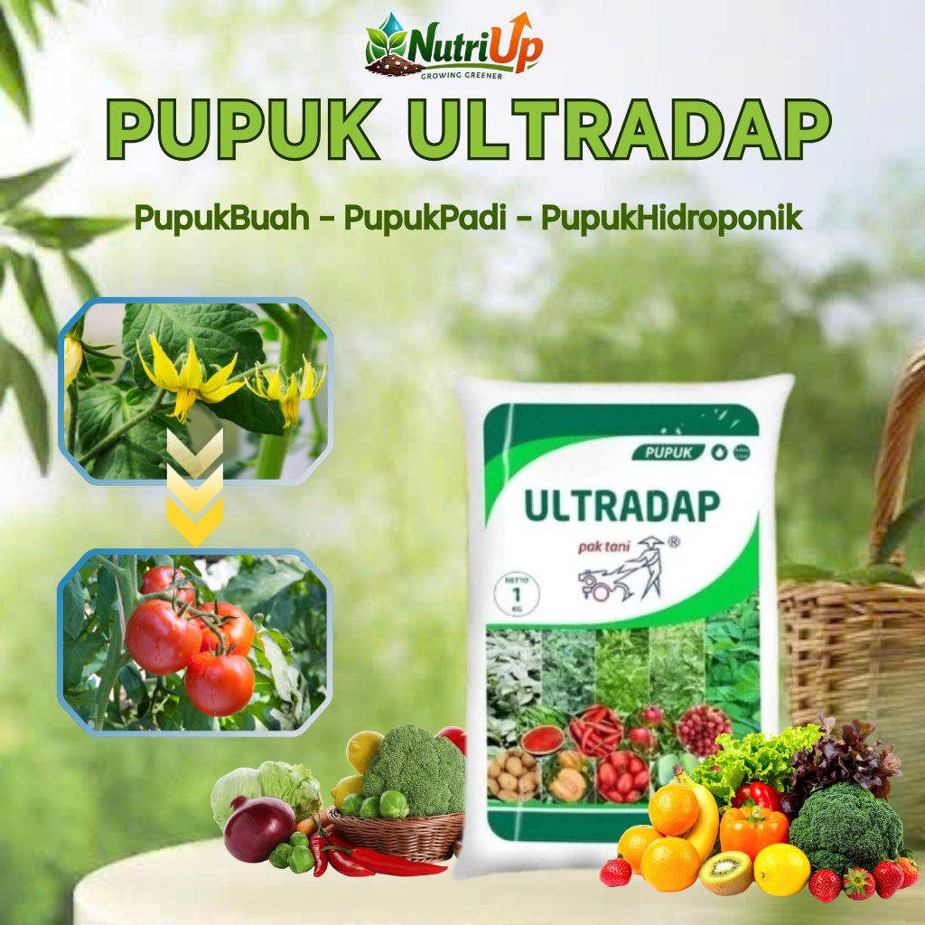 Ultradap Pupuk DAP Tanaman – Pupuk Pertanian Perangsang Akar & Pertumbuhan Untuk Cabai Tomat Sayuran
