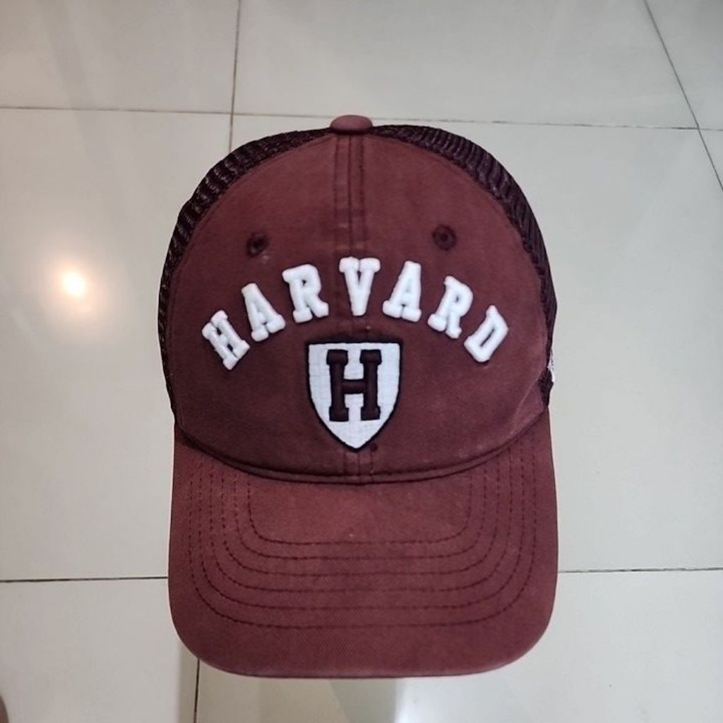 Topi Harvard University