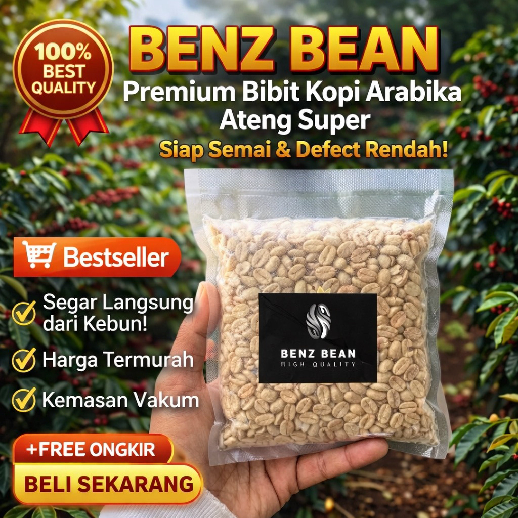 Bibit Kopi Gabah Ateng Super Asli Benz Bean - Benih Kopi Arabika Unggul