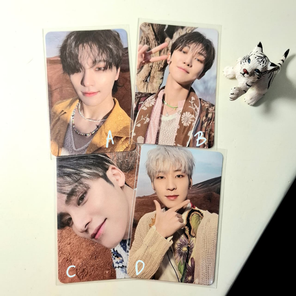 photocard seventeen face the sun ray mingu wonwoo dino the8