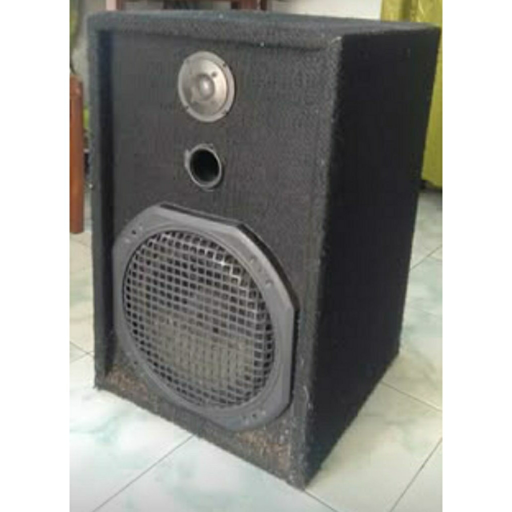 Sound Spiker ACR 10inch