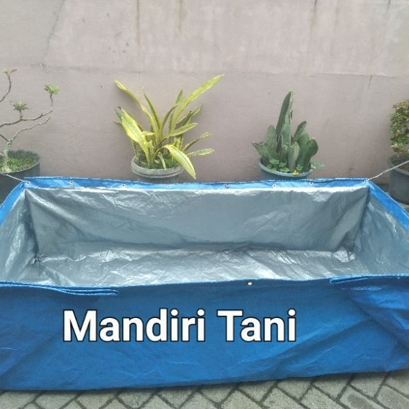 Terpal kolam ikan 300x200x50 A5 kolam terpal budidaya