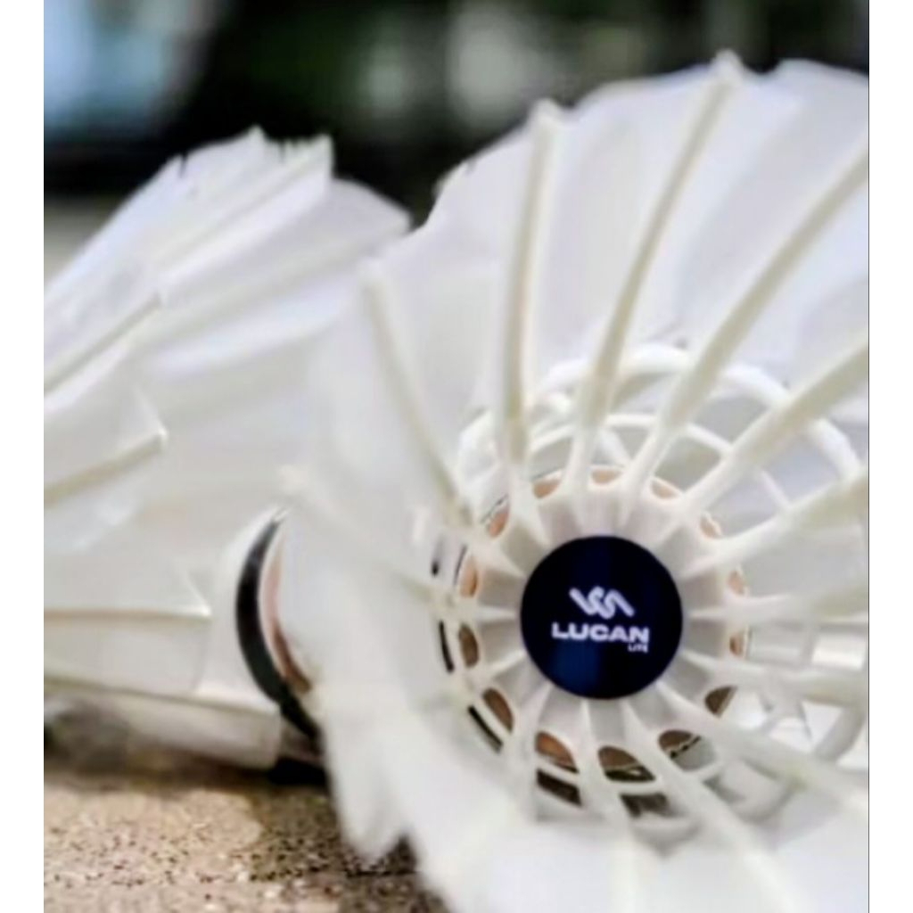 shuttlecock 3 in 1 Lucan lite.