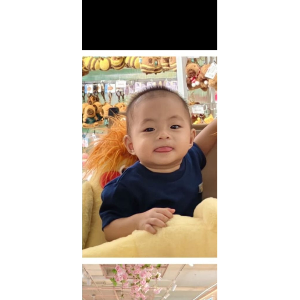 ampli toa bisa ac atau dc. mulus. lantang. norma wajib asuransi kerusakan krn expedisi tidak ditangg