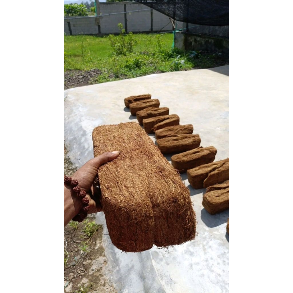 Tbk tambeng Besuki top super