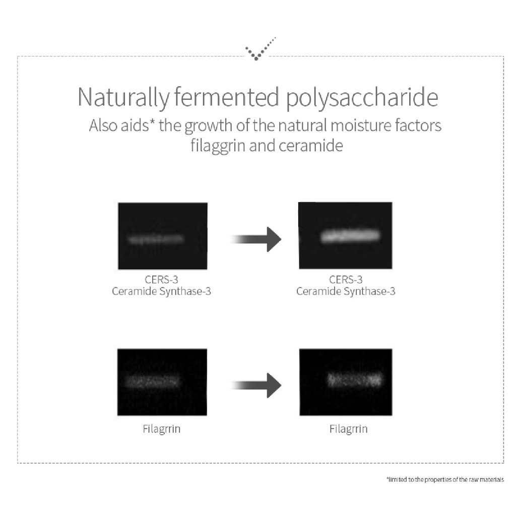 THE LAB BY BLANC DOUX Oligo Hyaluronic Acid Boosting Ampoule 30ml