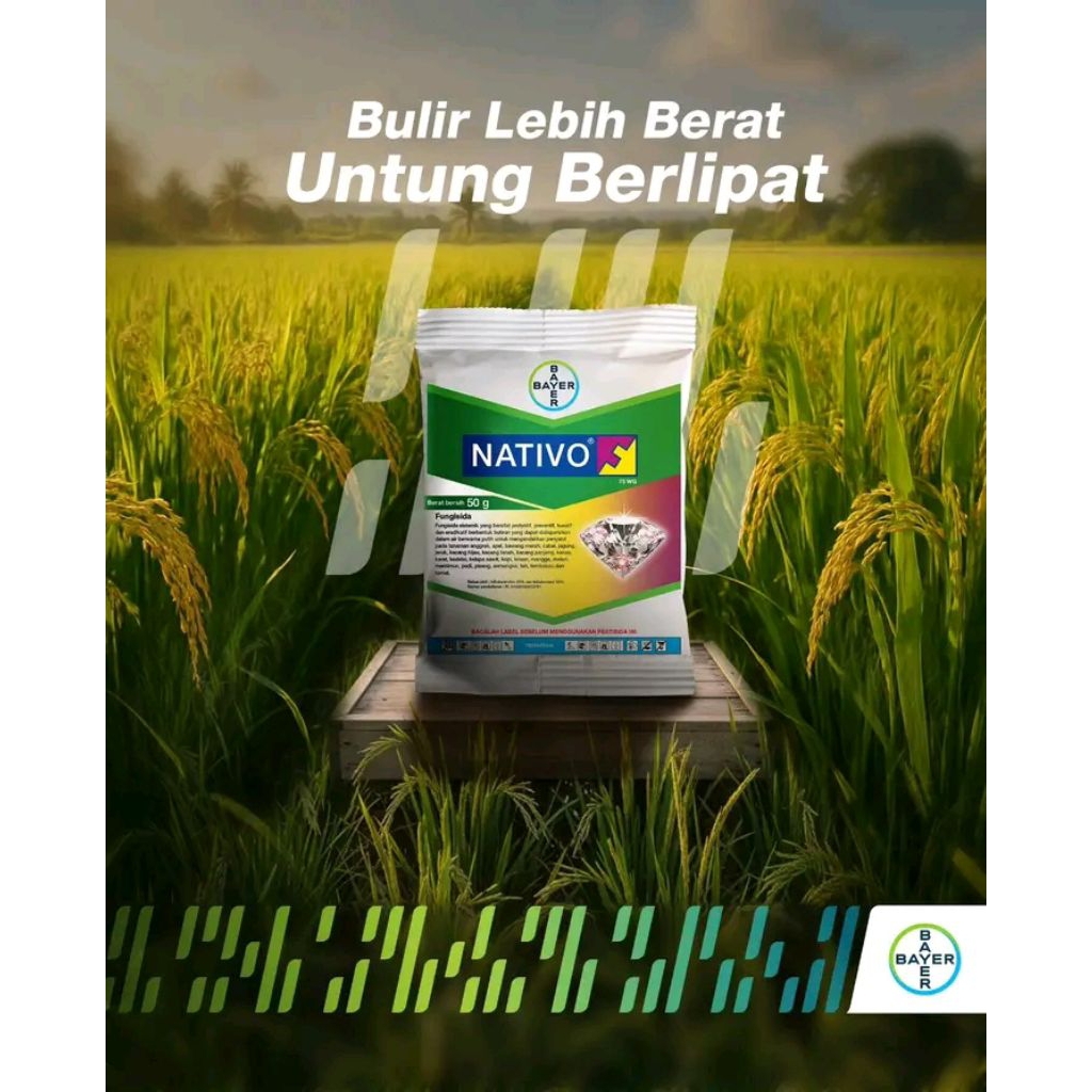 Fungisida Nativo 50 Gram