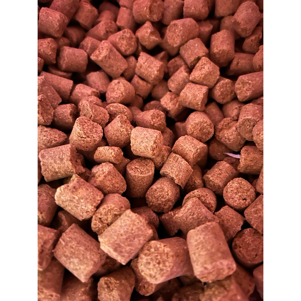 Makanan Tikus Penelitian Pelet Rat Bio