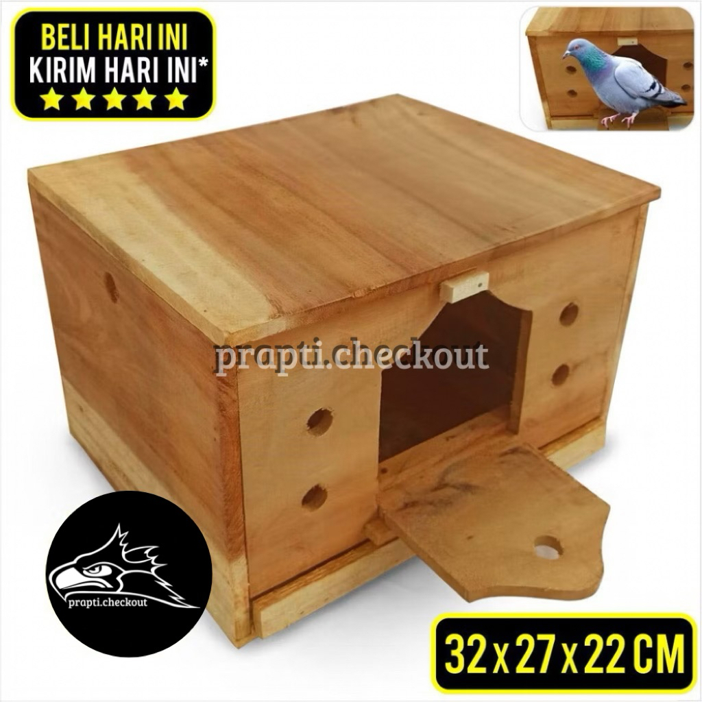 Gupon Merpati Pagupon Burung Dara Medium Size