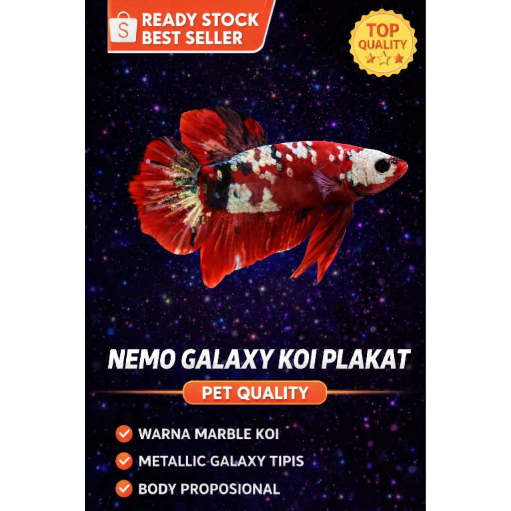 Plakat Nemo Koi Galaxy