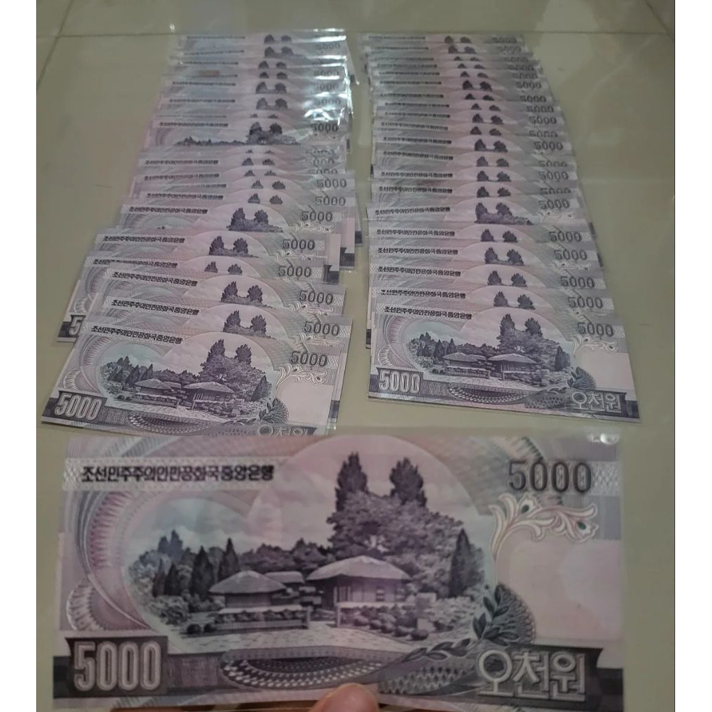 Uang Kuno Negara Korea Utara 5000won