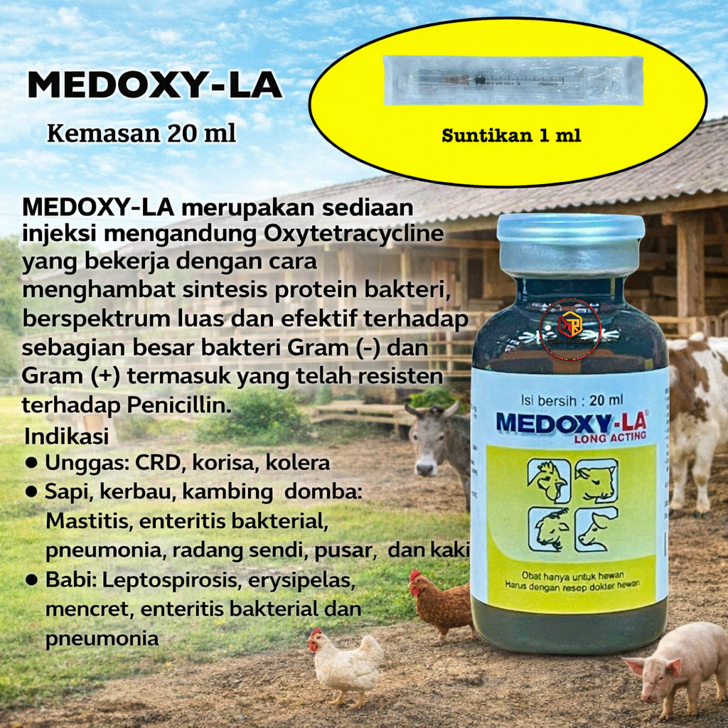 MEDOXY-LA 20ml Obat Hewan Ayam Sapi Kambing Babi