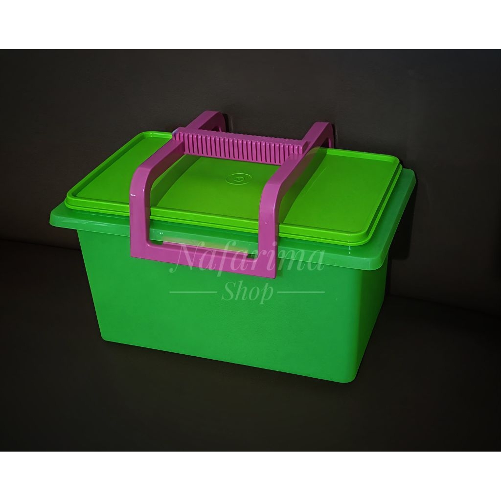 Tupperware Keep n Carry 5 kg