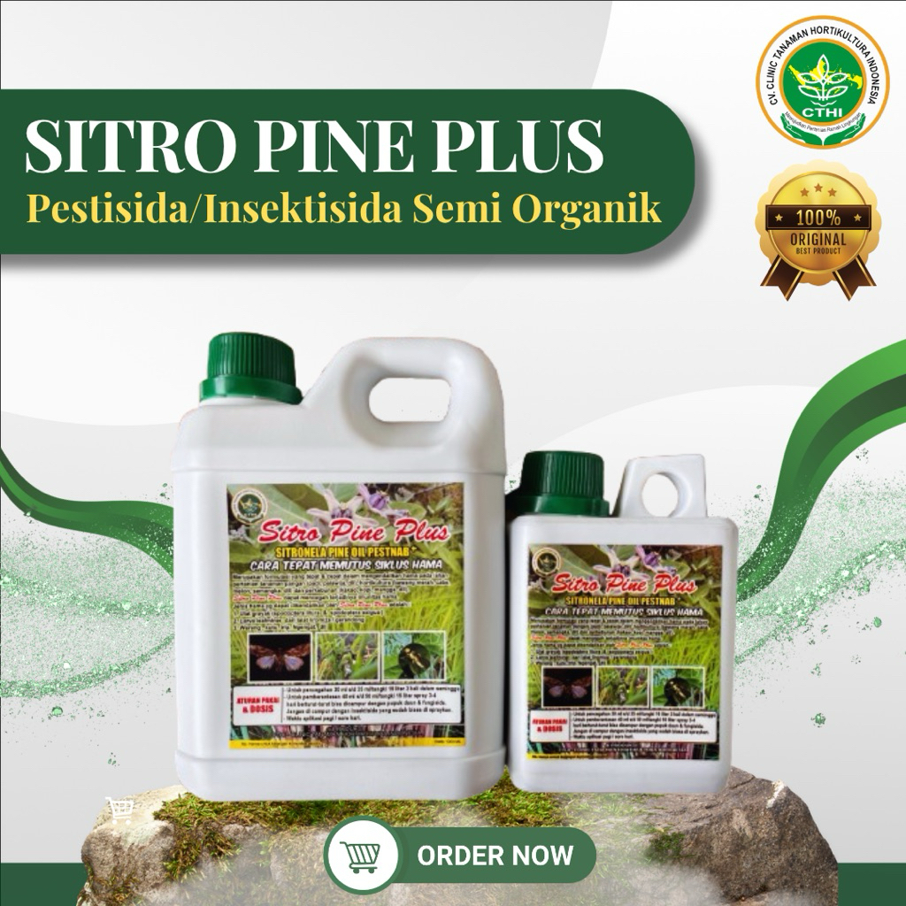 SITRO PINE PLUS (SPP CTHI) | Pestisida Nabati Ramah Lingkungan Efektif Mengatasi Hama Ulat Grayak Le