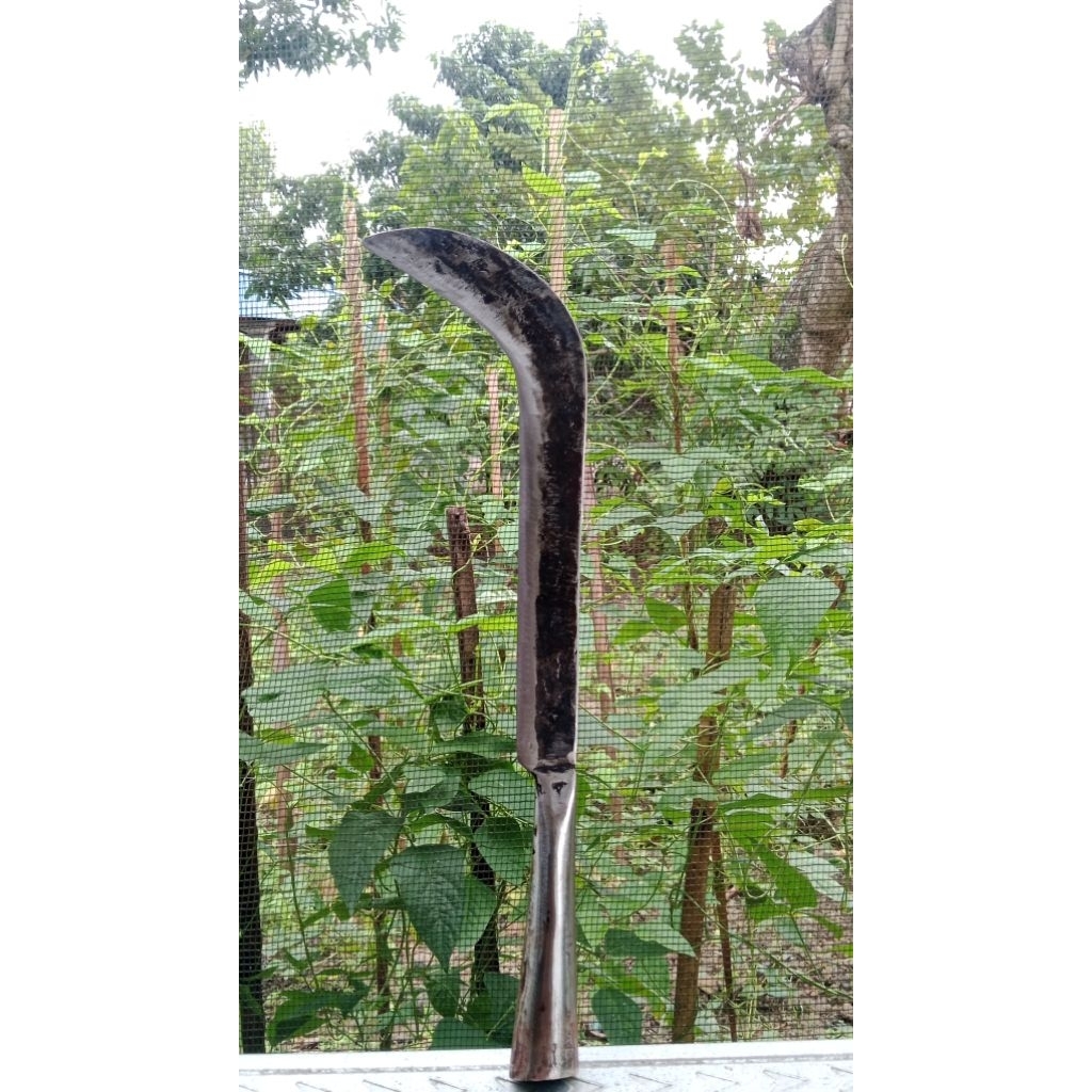 Sabit Ndurit Besar Premium