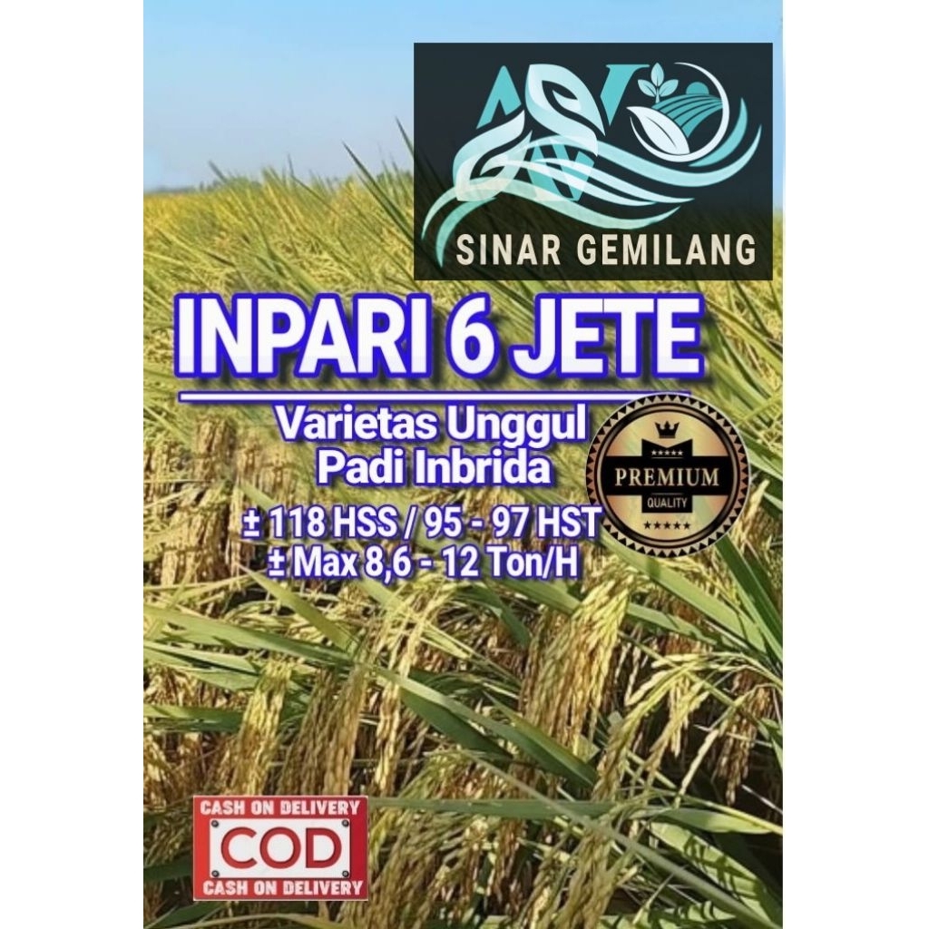 Benih padi varietas super unggul inpari 6 jete (5kg)