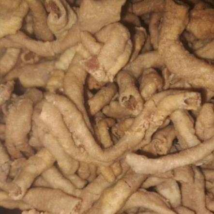 Usus Ayam Goreng Kriuk Gurih Asin Renyah Grosir