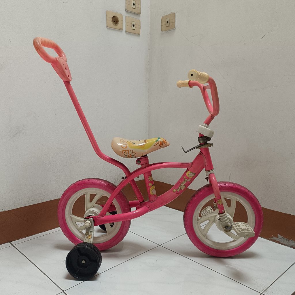 Sepeda Anak Perempuan