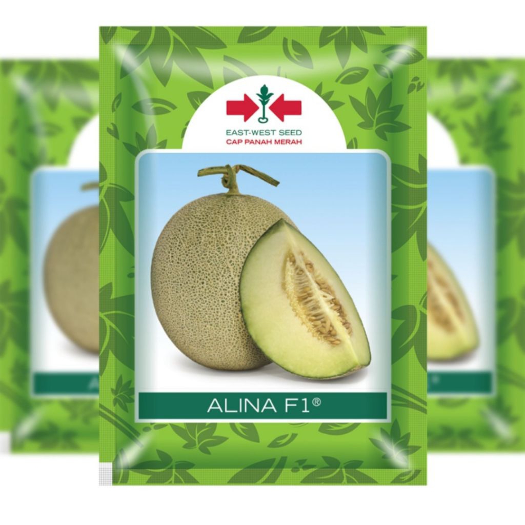 benih melon ALINA F1 1500 biji