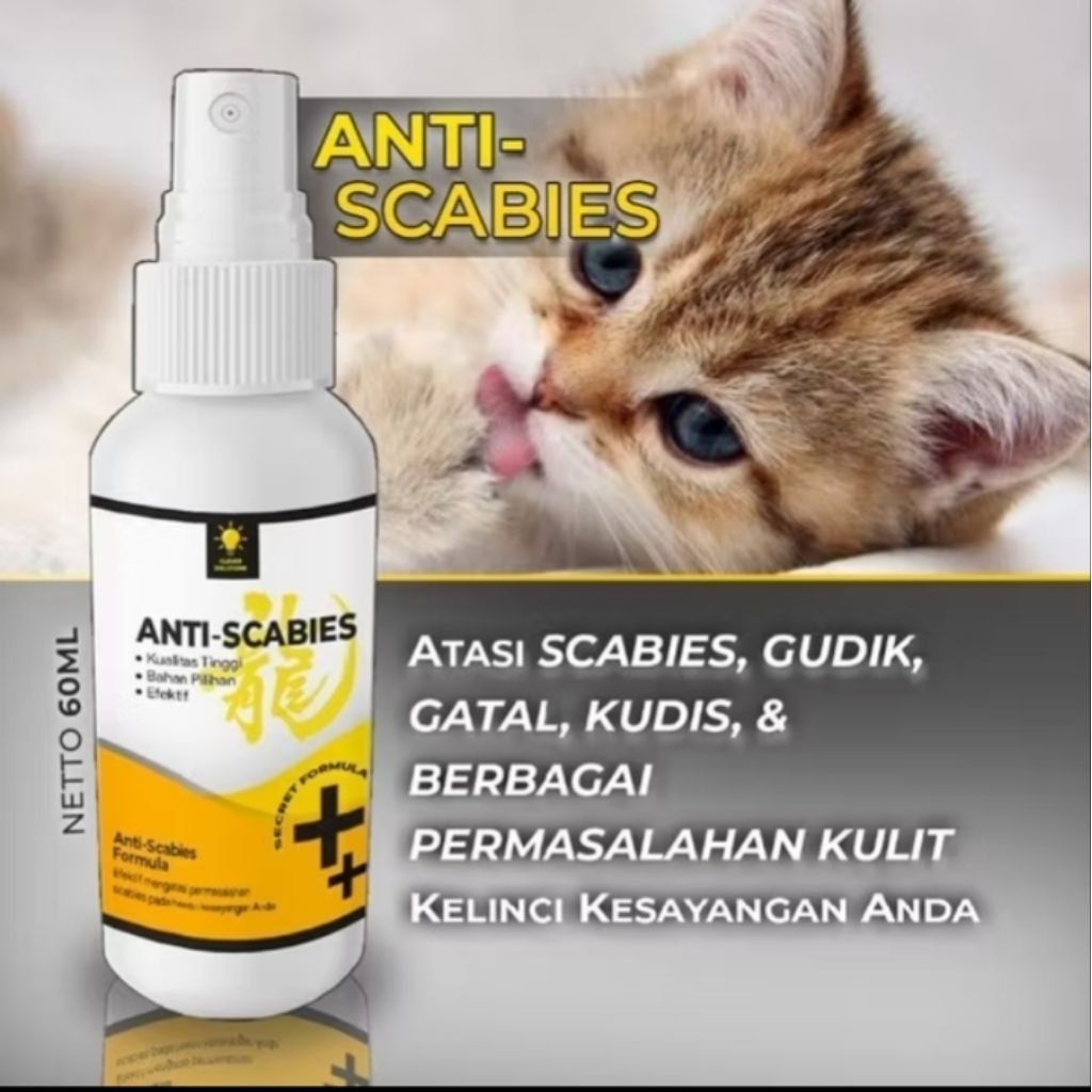 Obat Kulit Kucing untuk Mengatasi Scabies Jamur ringworm dan luka