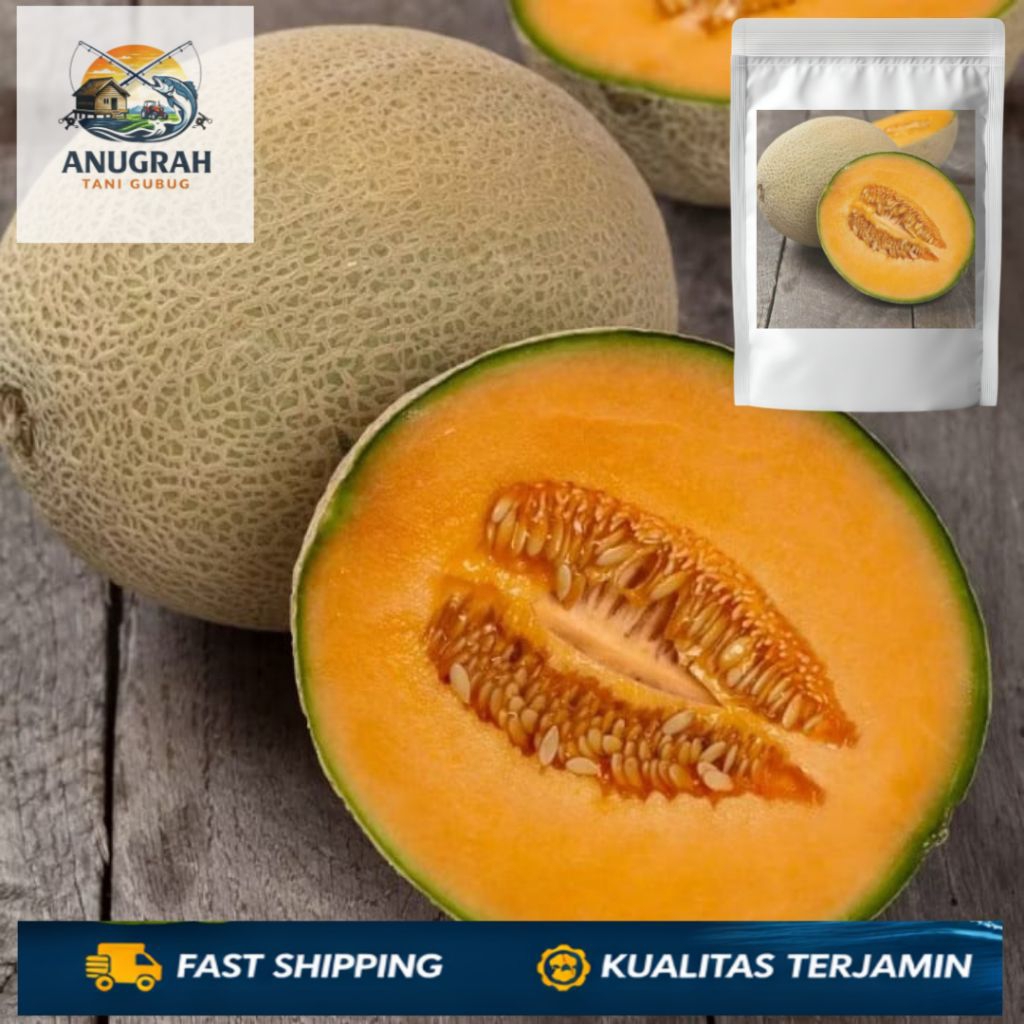 ( COD )Terlaris 30++ Benih Melon Madu Super Unggul