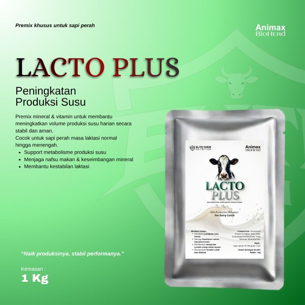 Peningkatan Produksi Susu Sapi Perah - Lacto Plus - Untuk sapi perah laktasi