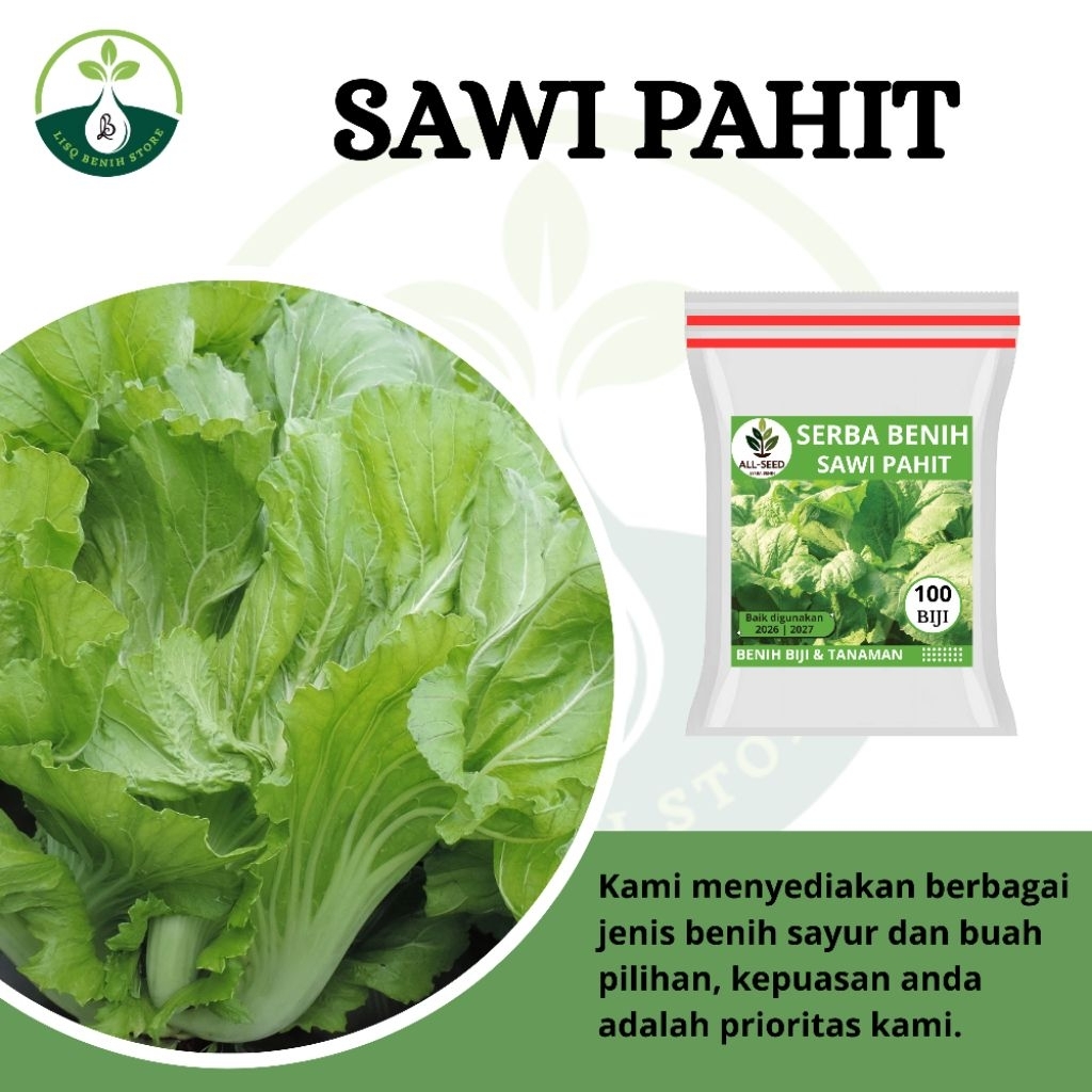 { 100 BIJI } Benih Sawi pahit / bibit Sawi